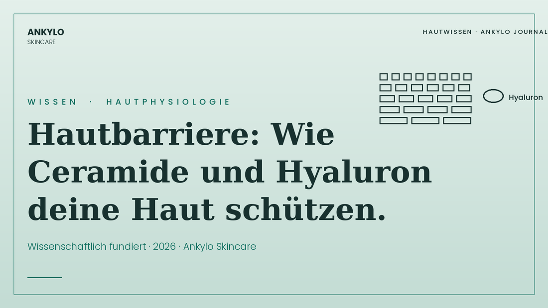 Hautbarriere stärken mit Ceramide und Hyaluron | Ankylo Skincare