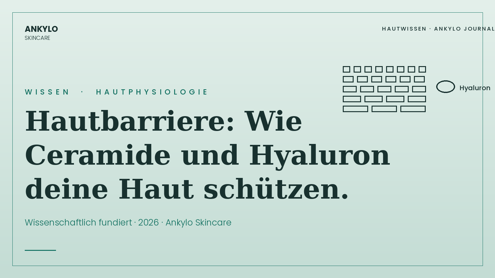 Hautbarriere stärken mit Ceramide und Hyaluron | Ankylo Skincare